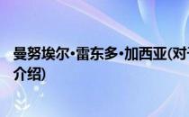 曼努埃尔·雷东多·加西亚(对于曼努埃尔·雷东多·加西亚简单介绍)