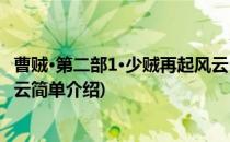 曹贼·第二部1·少贼再起风云(对于曹贼·第二部1·少贼再起风云简单介绍)