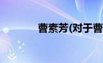 曹素芳(对于曹素芳简单介绍)