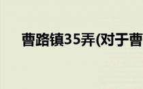 曹路镇35弄(对于曹路镇35弄简单介绍)
