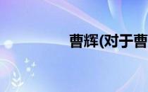 曹辉(对于曹辉简单介绍)