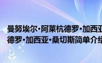 曼努埃尔·阿莱杭德罗·加西亚·桑切斯(对于曼努埃尔·阿莱杭德罗·加西亚·桑切斯简单介绍)