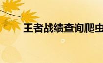 王者战绩查询爬虫（王者战绩查询）