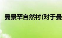 曼景罕自然村(对于曼景罕自然村简单介绍)