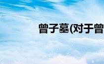 曾子墓(对于曾子墓简单介绍)