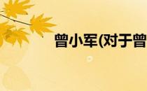 曾小军(对于曾小军简单介绍)