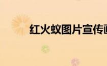 红火蚁图片宣传画（红火蚁图片）