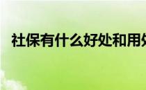 社保有什么好处和用处（社保有什么好处）