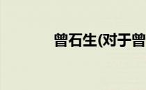 曾石生(对于曾石生简单介绍)