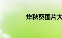 炸秋葵图片大全（炸秋葵）