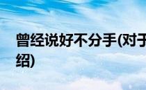 曾经说好不分手(对于曾经说好不分手简单介绍)