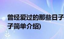 曾经爱过的那些日子(对于曾经爱过的那些日子简单介绍)