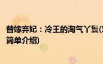 替嫁弃妃：冷王的淘气丫鬟(对于替嫁弃妃：冷王的淘气丫鬟简单介绍)