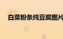 白菜粉条炖豆腐图片（白菜粉条炖豆腐）