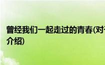 曾经我们一起走过的青春(对于曾经我们一起走过的青春简单介绍)