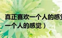 真正喜欢一个人的感觉是怎么样的（真正喜欢一个人的感觉）