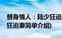 替身情人：陆少狂追妻(对于替身情人：陆少狂追妻简单介绍)
