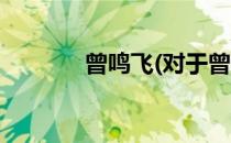 曾鸣飞(对于曾鸣飞简单介绍)