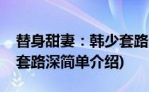 替身甜妻：韩少套路深(对于替身甜妻：韩少套路深简单介绍)