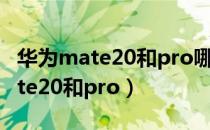 华为mate20和pro哪个更值得入手（华为mate20和pro）