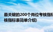 最关键的200个岗位考核指标表(对于最关键的200个岗位考核指标表简单介绍)