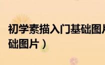 初学素描入门基础图片步骤（初学素描入门基础图片）