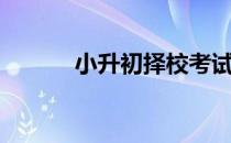 小升初择校考试（小升初择校）