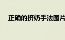 正确的挤奶手法图片（催奶师手法图片）