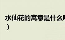 水仙花的寓意是什么呢（水仙花的寓意是什么）
