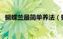 蝴蝶兰最简单养法（蝴蝶兰多久浇一次水）