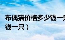 布偶猫价格多少钱一只幼猫（布偶猫价格多少钱一只）