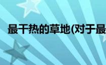 最干热的草地(对于最干热的草地简单介绍)