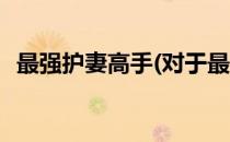 最强护妻高手(对于最强护妻高手简单介绍)