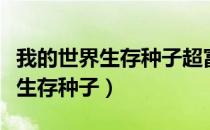 我的世界生存种子超富村庄手机版（我的世界生存种子）
