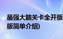 最强大脑关卡全开版(对于最强大脑关卡全开版简单介绍)