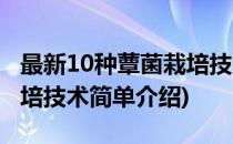 最新10种蕈菌栽培技术(对于最新10种蕈菌栽培技术简单介绍)