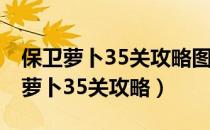 保卫萝卜35关攻略图水晶萝卜 金萝卜（保卫萝卜35关攻略）