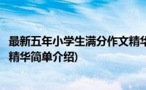 最新五年小学生满分作文精华(对于最新五年小学生满分作文精华简单介绍)