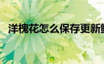 洋槐花怎么保存更新鲜（洋槐花怎么保存）