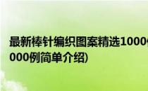 最新棒针编织图案精选1000例(对于最新棒针编织图案精选1000例简单介绍)