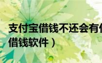 支付宝借钱不还会有什么后果（支付宝有几种借钱软件）