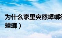 为什么家里突然蟑螂很多（为什么家里突然有蟑螂）