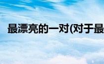 最漂亮的一对(对于最漂亮的一对简单介绍)