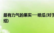 最有力气的果实──喷瓜(对于最有力气的果实──喷瓜简单介绍)