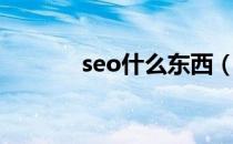 seo什么东西（seo什么意思）