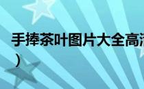 手捧茶叶图片大全高清图片（茶叶图片大全集）