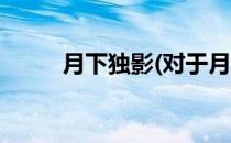 月下独影(对于月下独影简单介绍)
