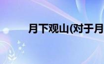 月下观山(对于月下观山简单介绍)