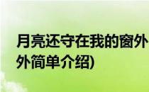月亮还守在我的窗外(对于月亮还守在我的窗外简单介绍)