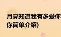 月亮知道我有多爱你(对于月亮知道我有多爱你简单介绍)